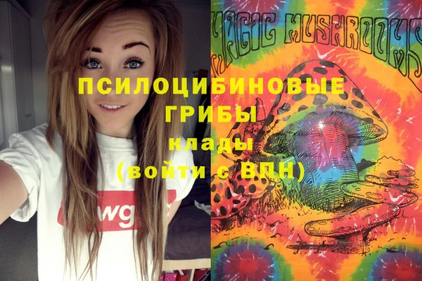 а пвп мука Верхний Тагил