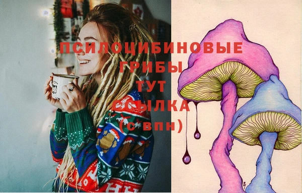 стафф Верея
